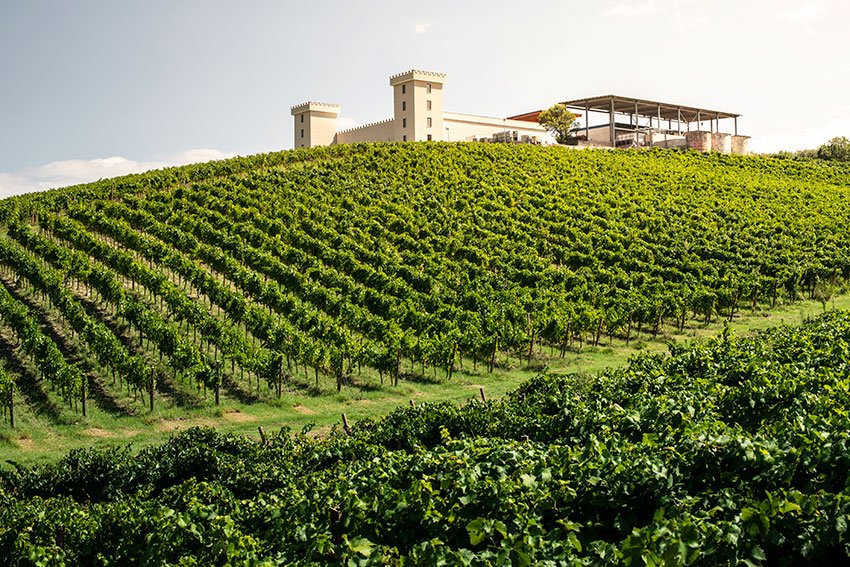 Vineyard and winery coverage,Wine production liability,Agricultural business insurance